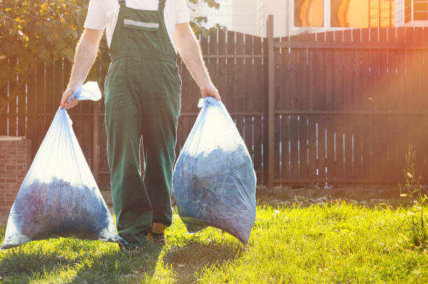 Best Office Junk Removal  in Ringgold, GA